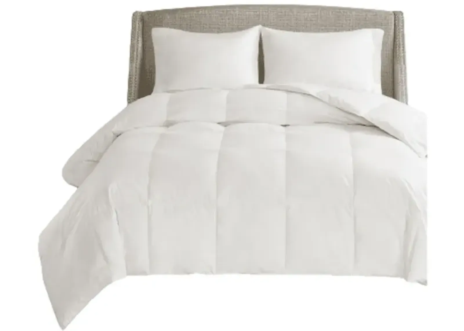 Gracie Mills Eldon All Season Oversized Cotton Down Comforter