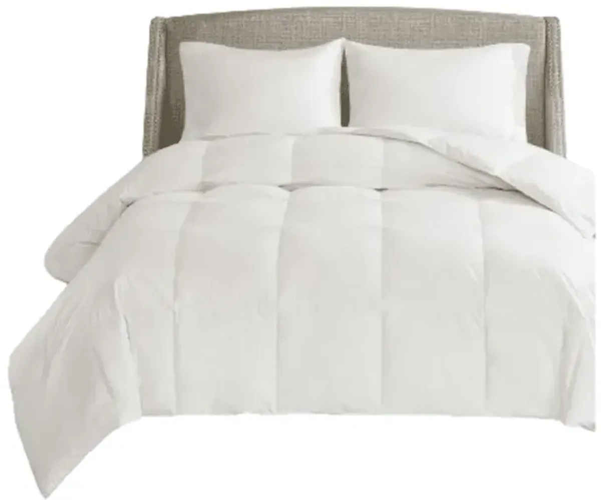 Gracie Mills Eldon All Season Oversized Cotton Down Comforter