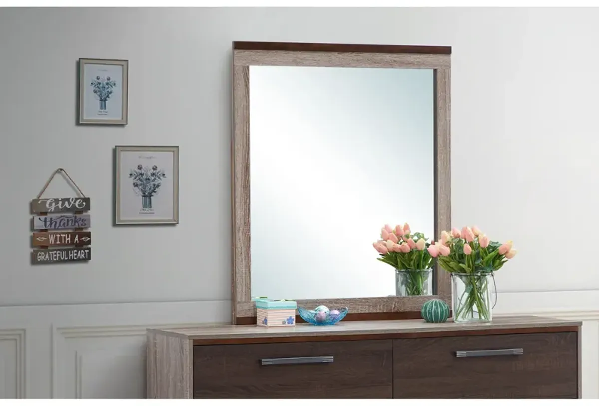 32 in. x 39.5 in. Classic Rectangle Framed Dresser Mirror