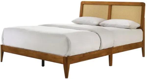 Omax Decor Liam Wooden Queen size Platform Bed with Rattan Headboard