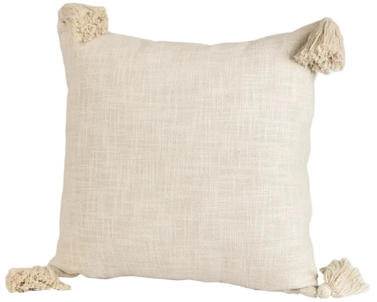 Etawah Throw Pillow with Insert, 18X18