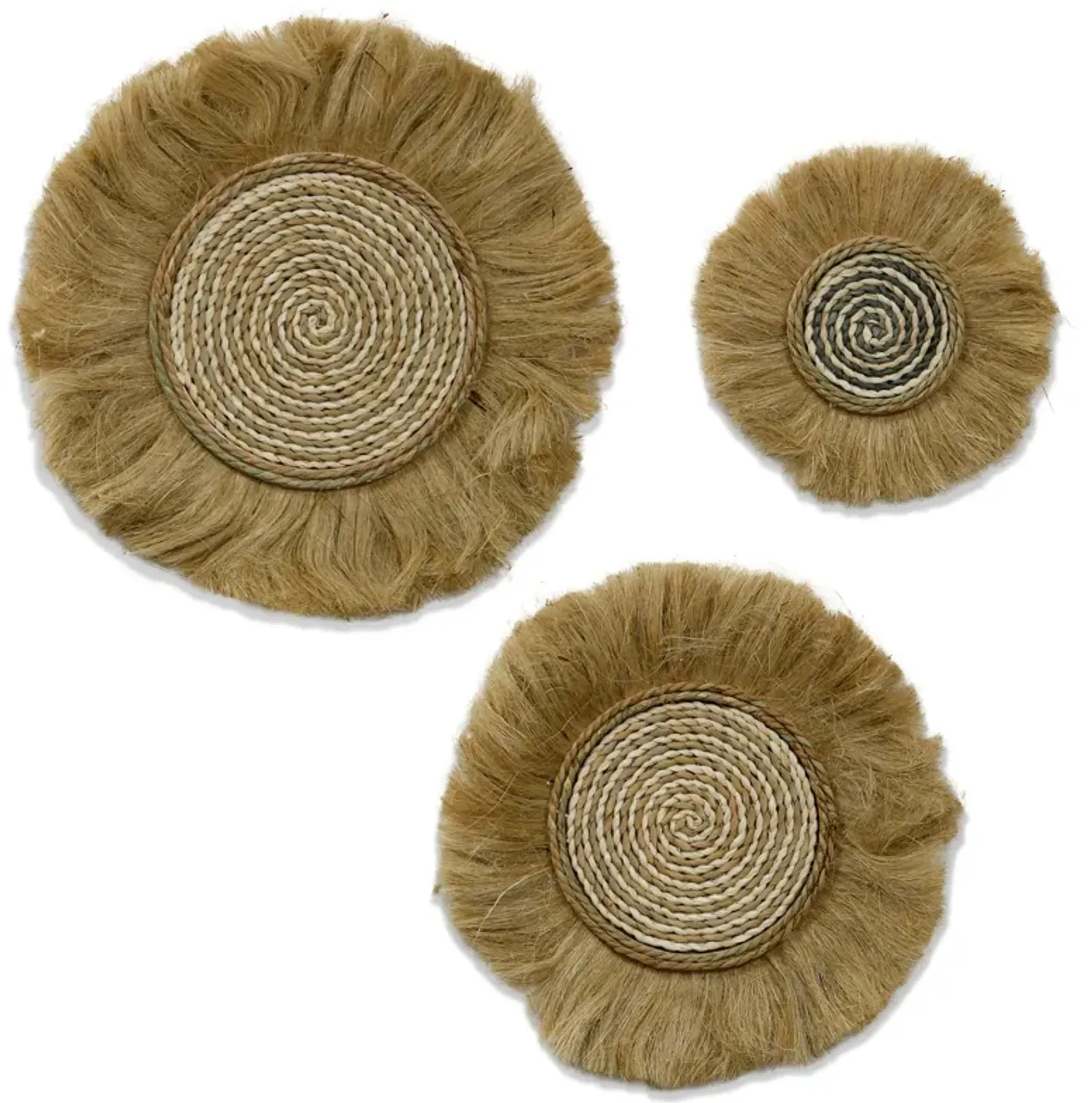 Natural Spirals Wall Art (Set of 3)