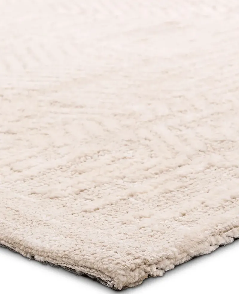 Erwin Atmosphere 5'x8' Rug