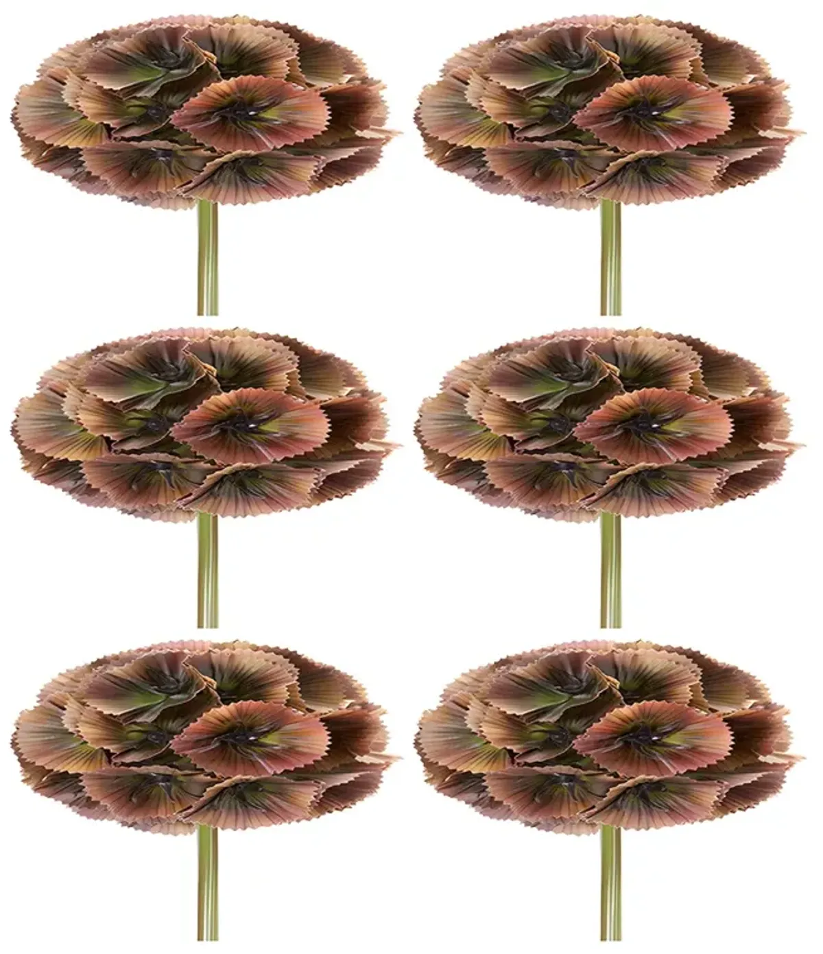 Set of 6 Floral Pods for Crafting and Home Décor Arrangements