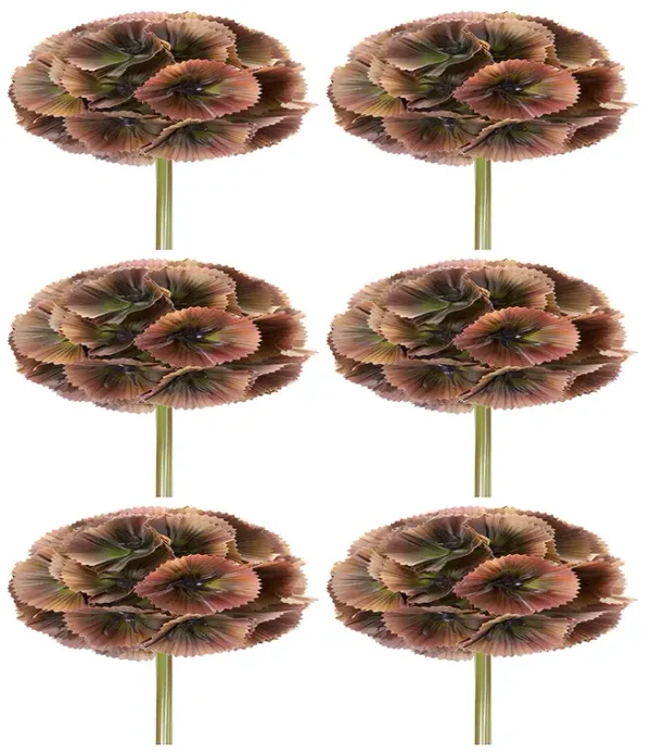 Set of 6 Floral Pods for Crafting and Home Décor Arrangements