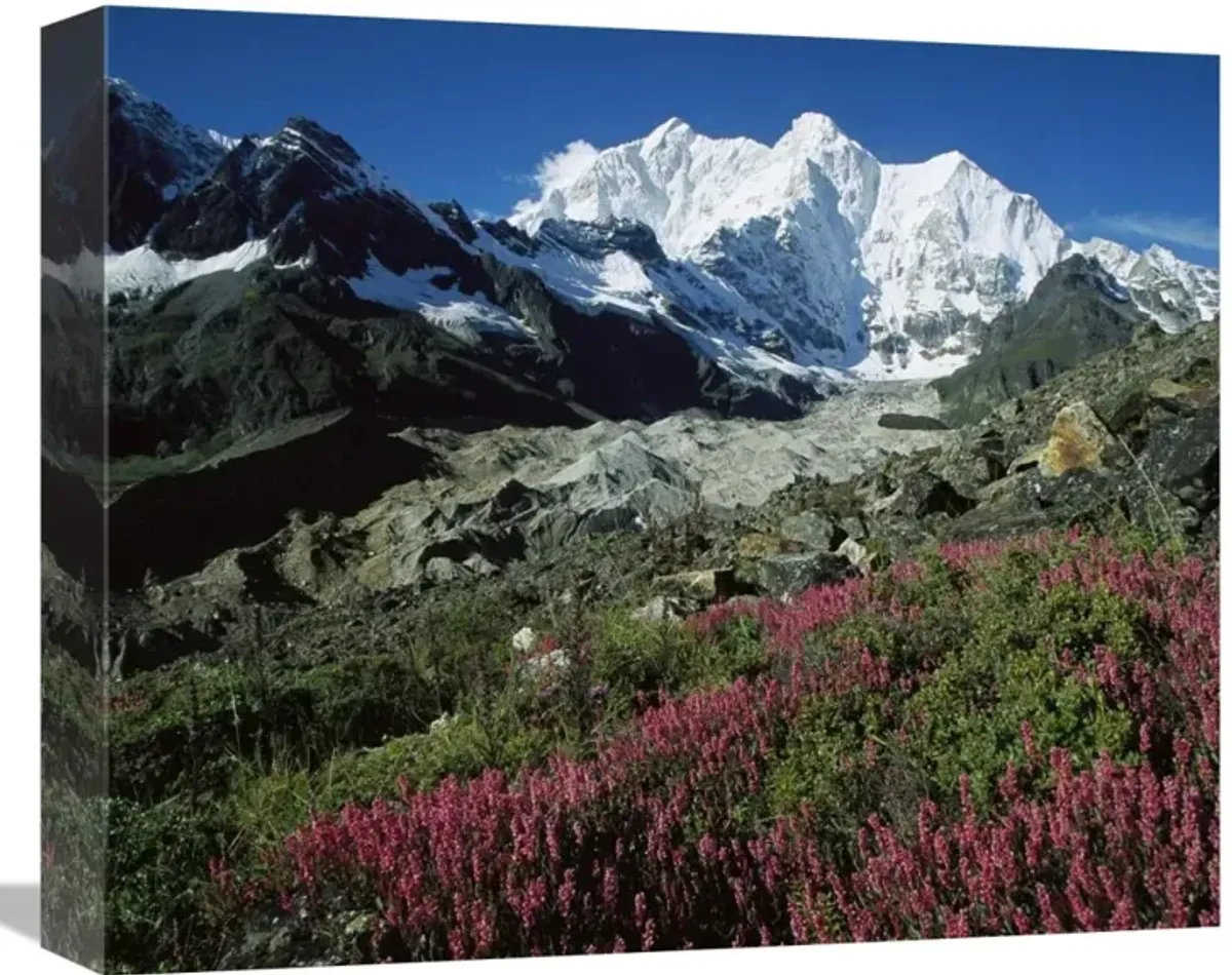 Wildflowers and Kangshung Glacier, Mt Chomolonzo in background, Tibet-Canvas Art-16x13.28