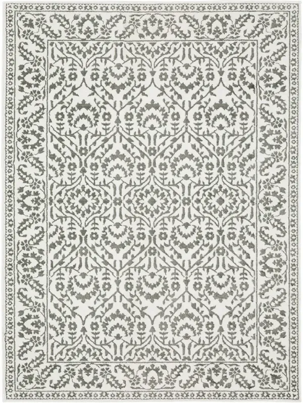 Montecito 3'3" x 5' Grey Rug
