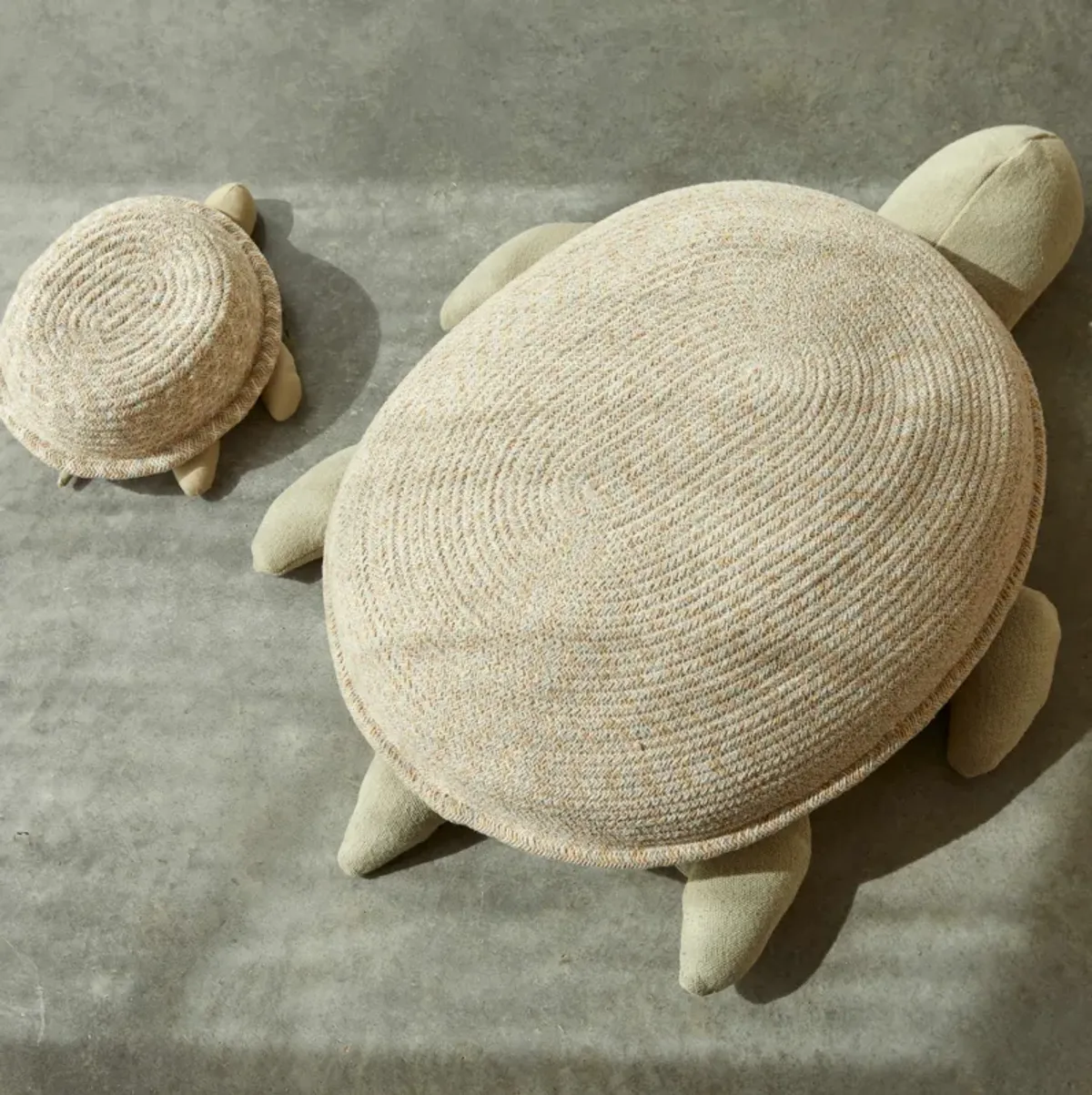 Basket Baby Turtle.