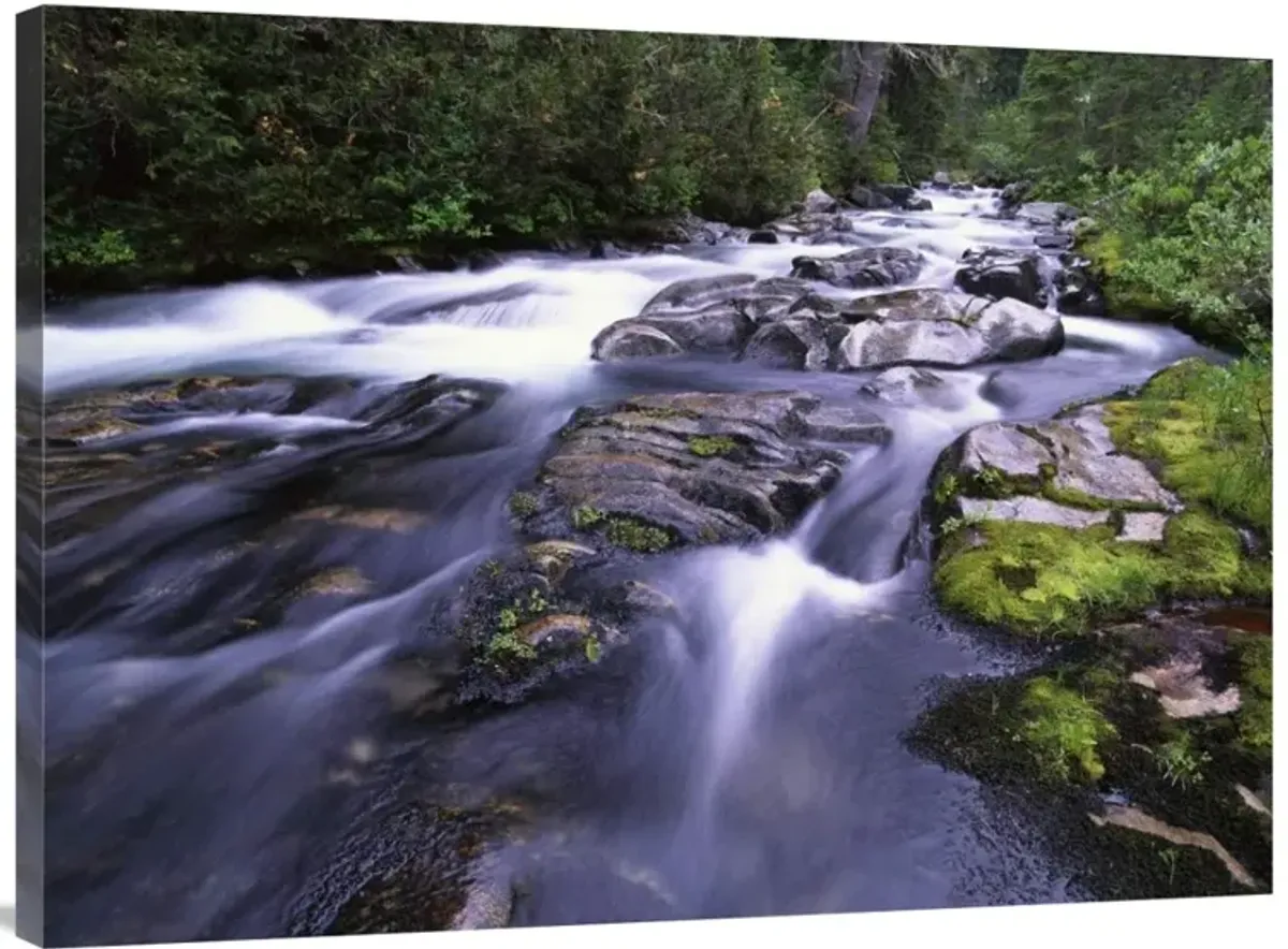 Paradise River, Mt Rainier National Park, Washington-Canvas Art-40x30