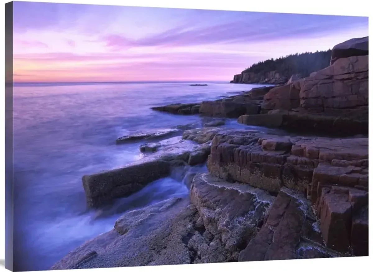 Atlantic coast near Thunder Hole, Acadia National Park, Maine-Canvas Art-40x30