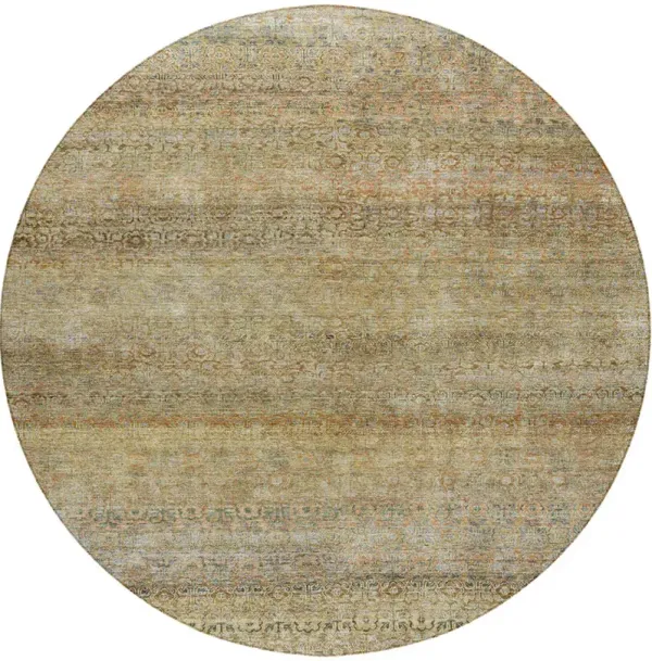 Burano BU12 Wheat 8' Rug