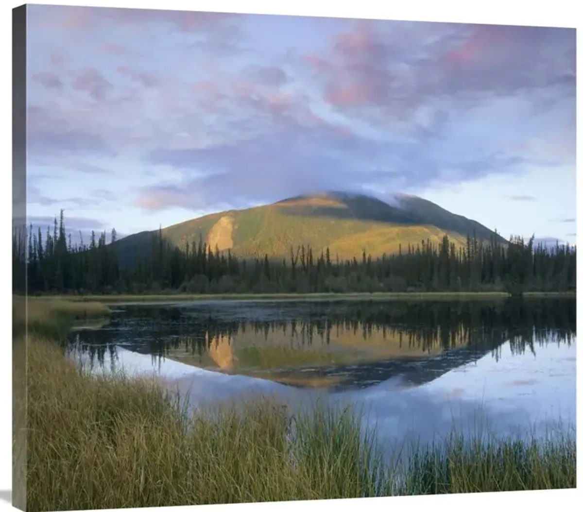 Pond reflecting Nisling Range, Yukon, Canada-Canvas Art-36x32.04