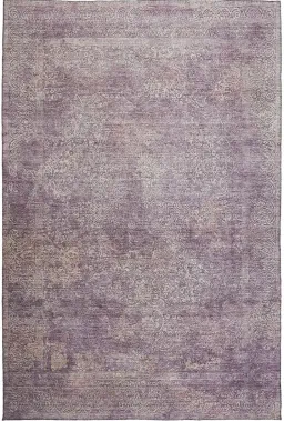 Plum color