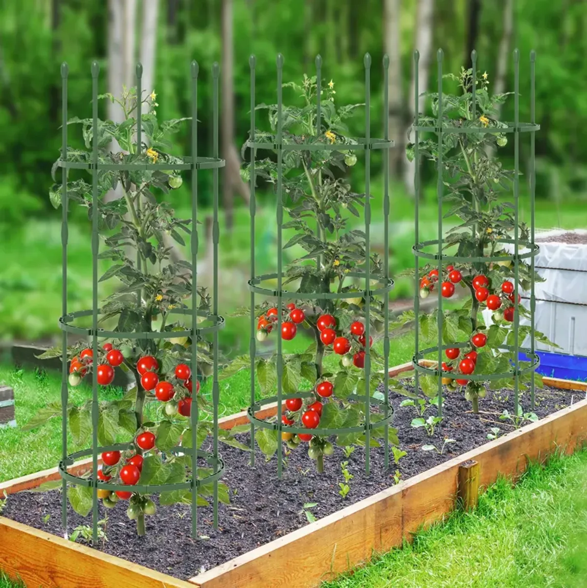 3-Pack Garden Trellis Plant Supports with Clips, Ties, and Climbing Plant Stands