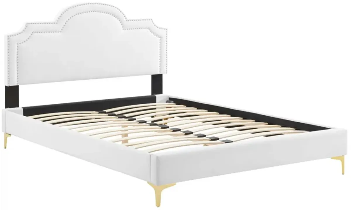 Modway - Aviana Performance Velvet King Bed