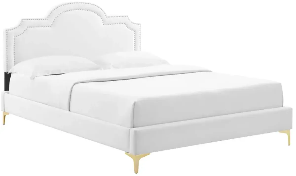 Modway - Aviana Performance Velvet King Bed