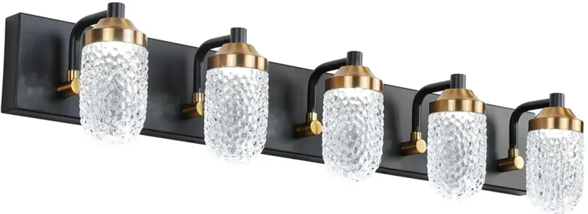 Vanity Lights With 5 LED Bulbs For Bathroom Lighting