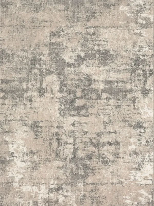 Epiphany Agusti Frost gray 2' 4" X 7' 10" Rug