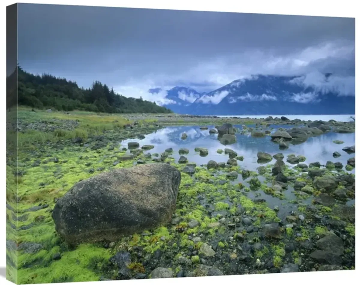 Low tide revealing algae covered rocks, Alaska-Canvas Art-28x22