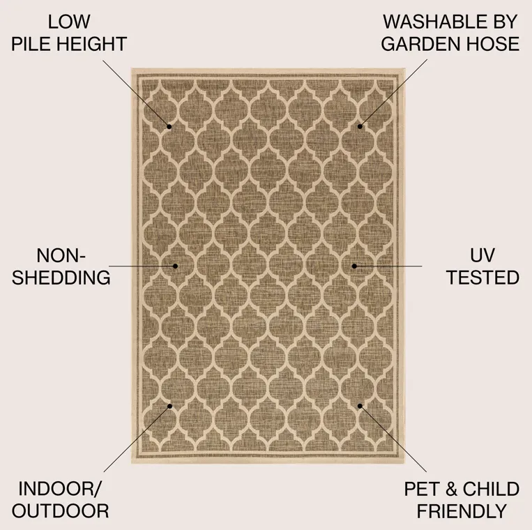 Trebol Moroccan Trellis Textured Weave Indoor/Outdoor Area Rug