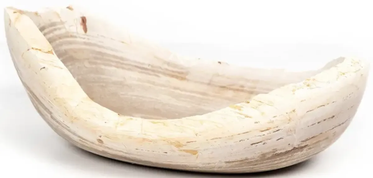 Oval Petrified Wood Bowl