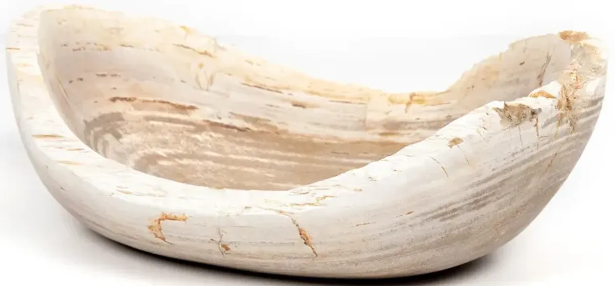 Oval Petrified Wood Bowl