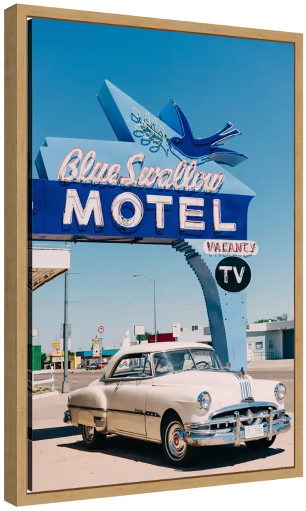 Blue Swallow Motel by Bethany Young Framed Canvas Wall Art