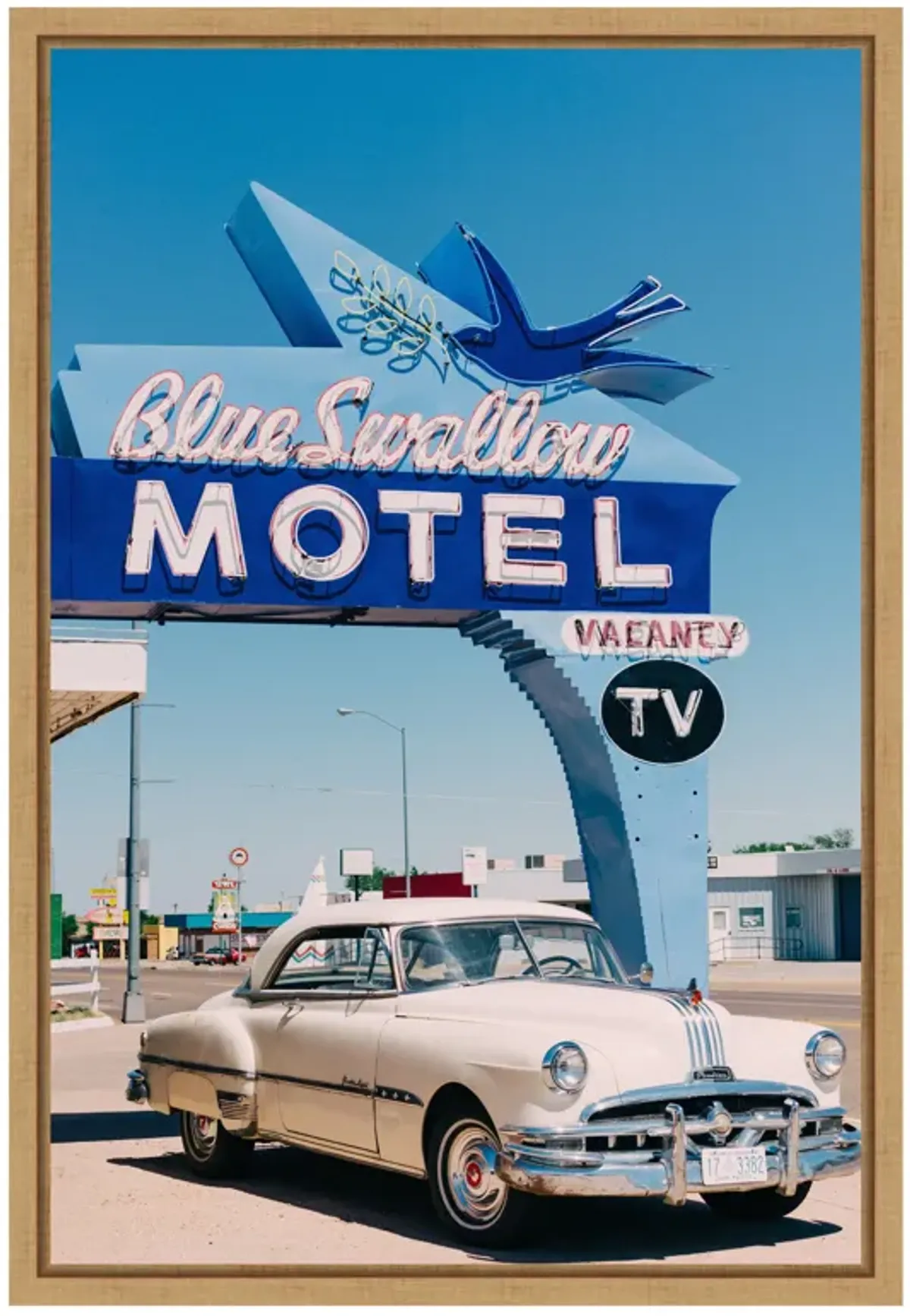 Blue Swallow Motel by Bethany Young Framed Canvas Wall Art