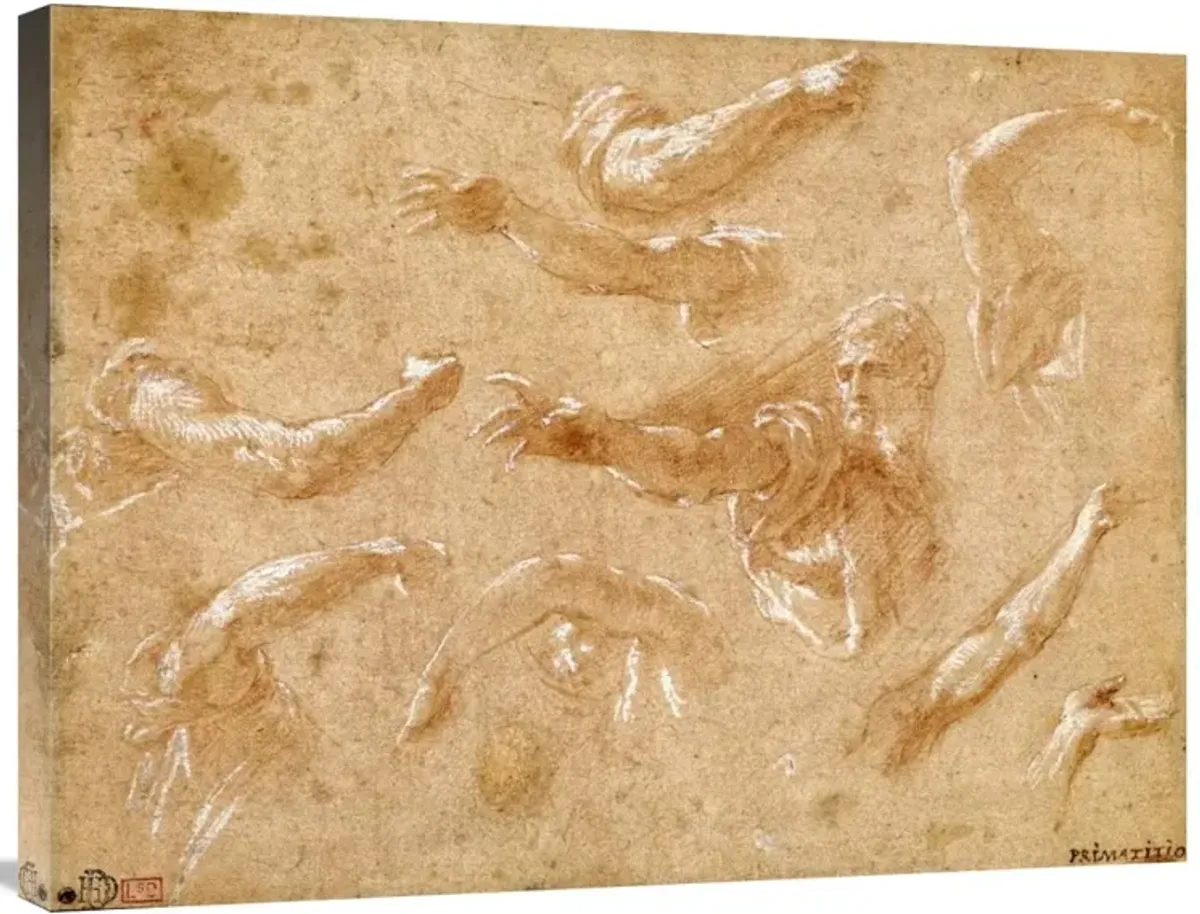 Study of God the Father with Angels-Canvas Art-32x24