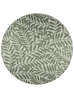 Fernway color