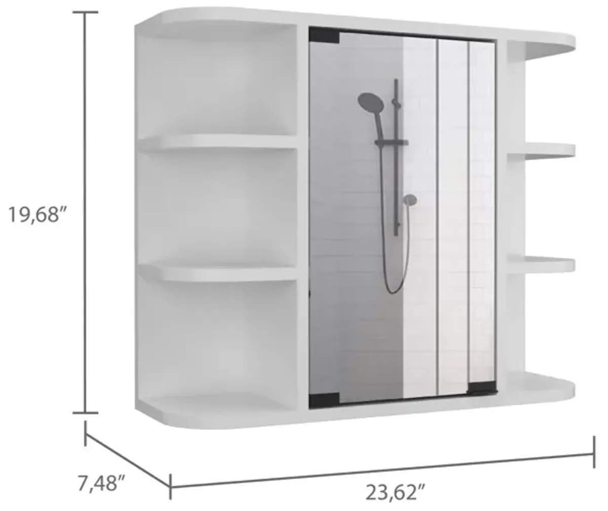 Roseburg 6-Shelf Medicine Cabinet With Mirror