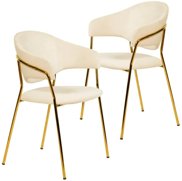 Bella Modern Dining Chair Upholstered in Leather With Stainless Steel Base Set of 2