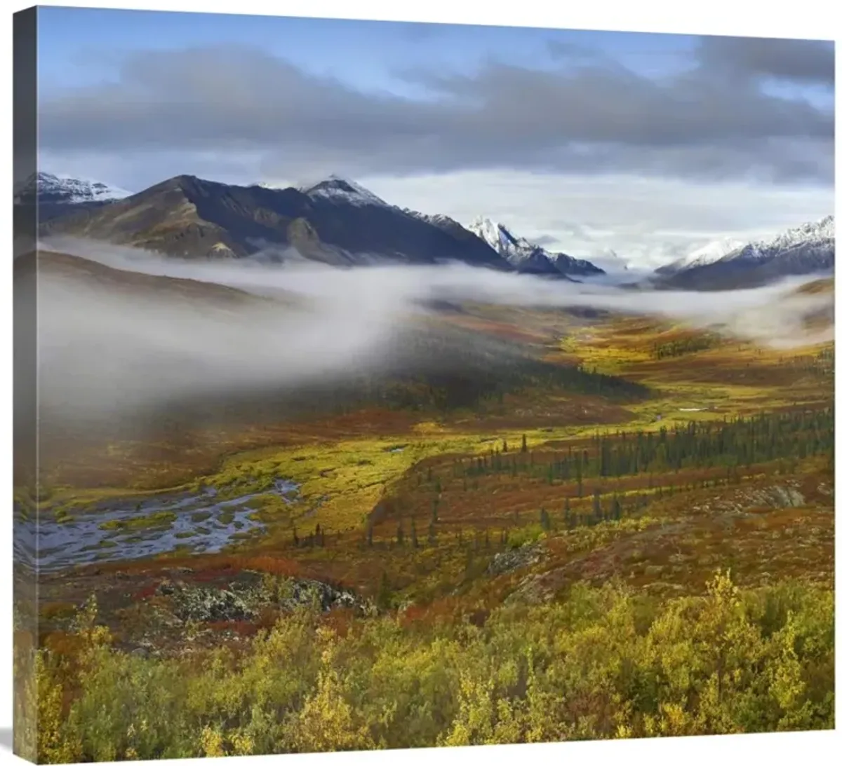 Fog over tundra, Tombstone Range, Tombstone Territorial Park, Yukon, Canada-Canvas Art-30x27.3