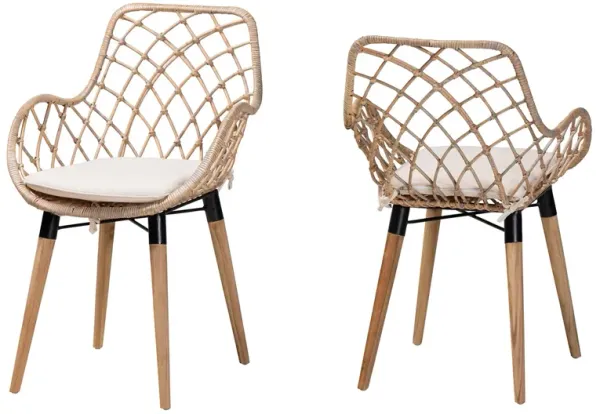 Bali & Pari Ballerina Modern Black Finished Rattan and Metal 2-Piece Dining Chair Set