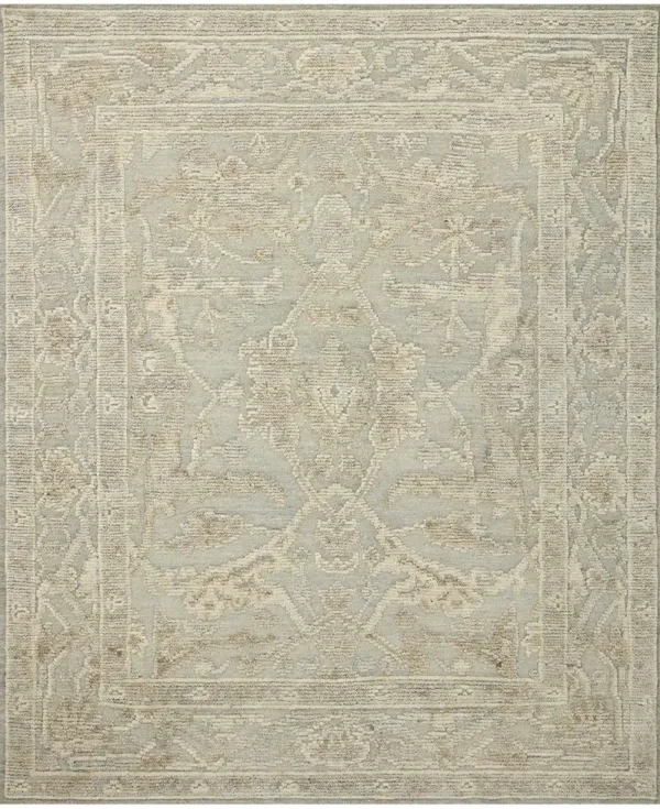 Emilia EMI03 Sky/Natural 4' x 6' Rug