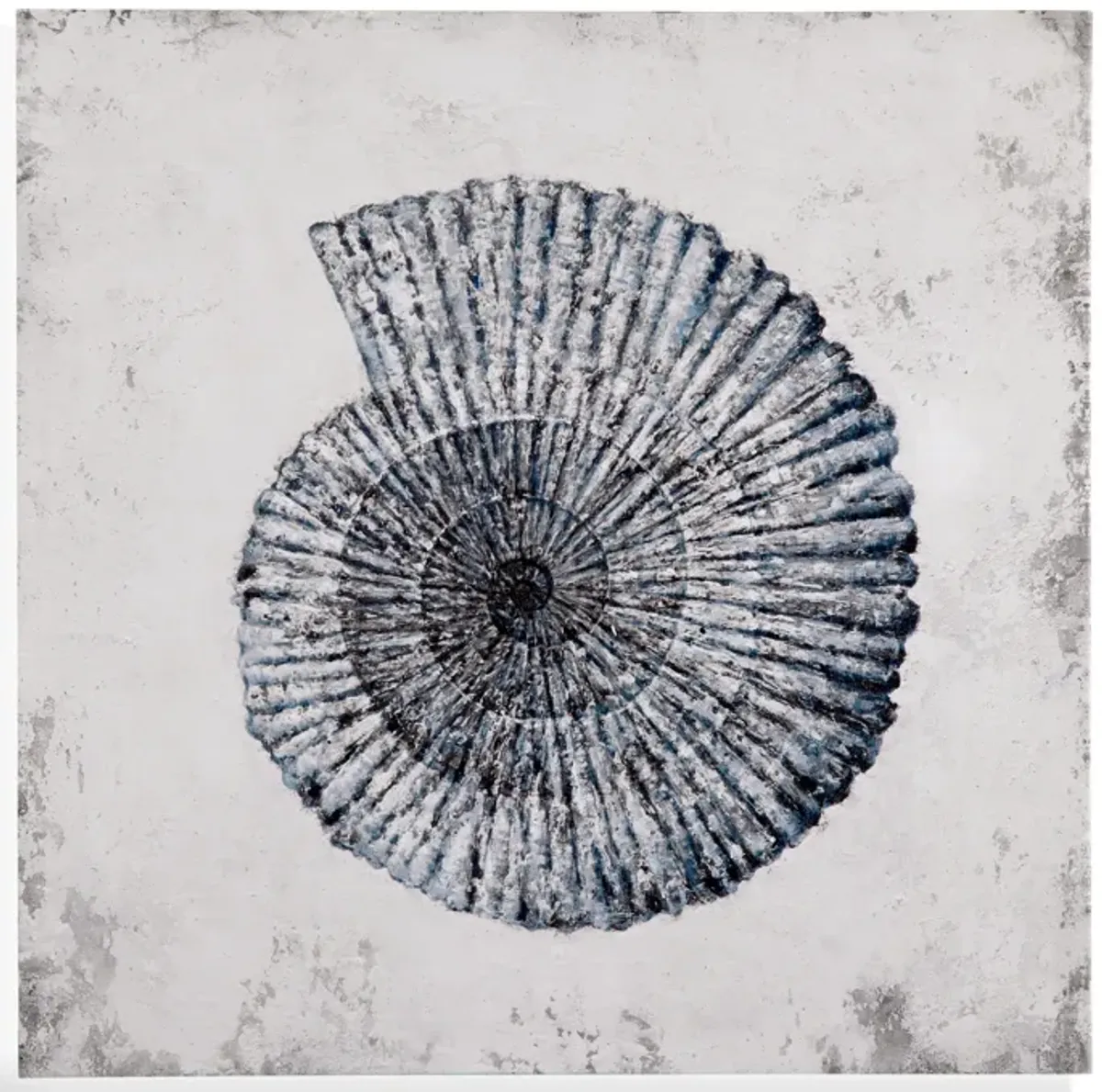 Shell II Canvas Art