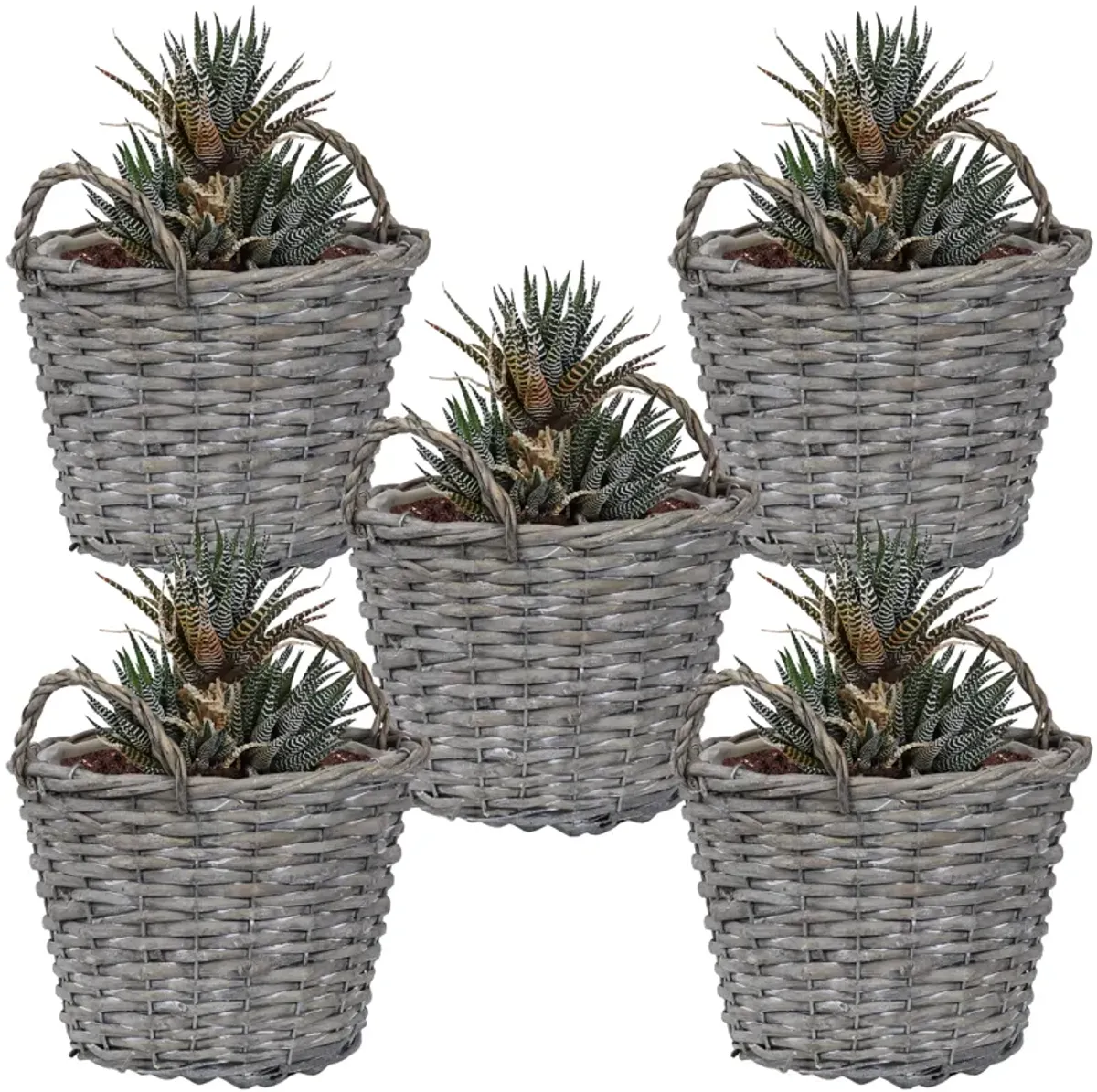 Sunnydaze 8 in Rattan Wicker Basket Planters with Handles/Lining - Set of 5