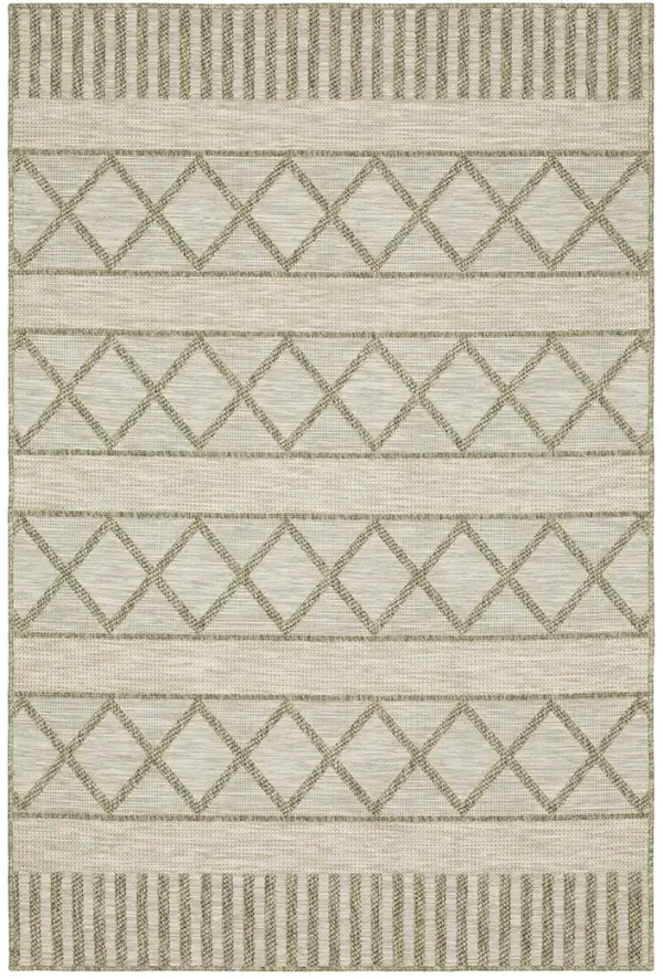Tortuga 7'10" x 10' Beige Rug