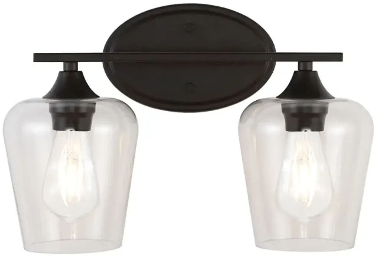 Jayne Iron/Glass Cottage Rustic LED Vanity Light