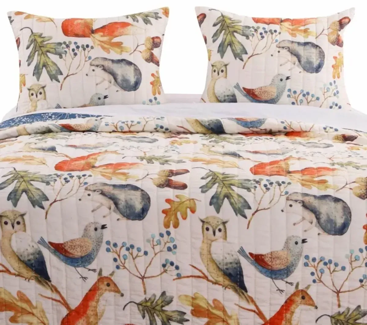 2-Piece Reversible Quilt Set with Birds Animals and Floral Print