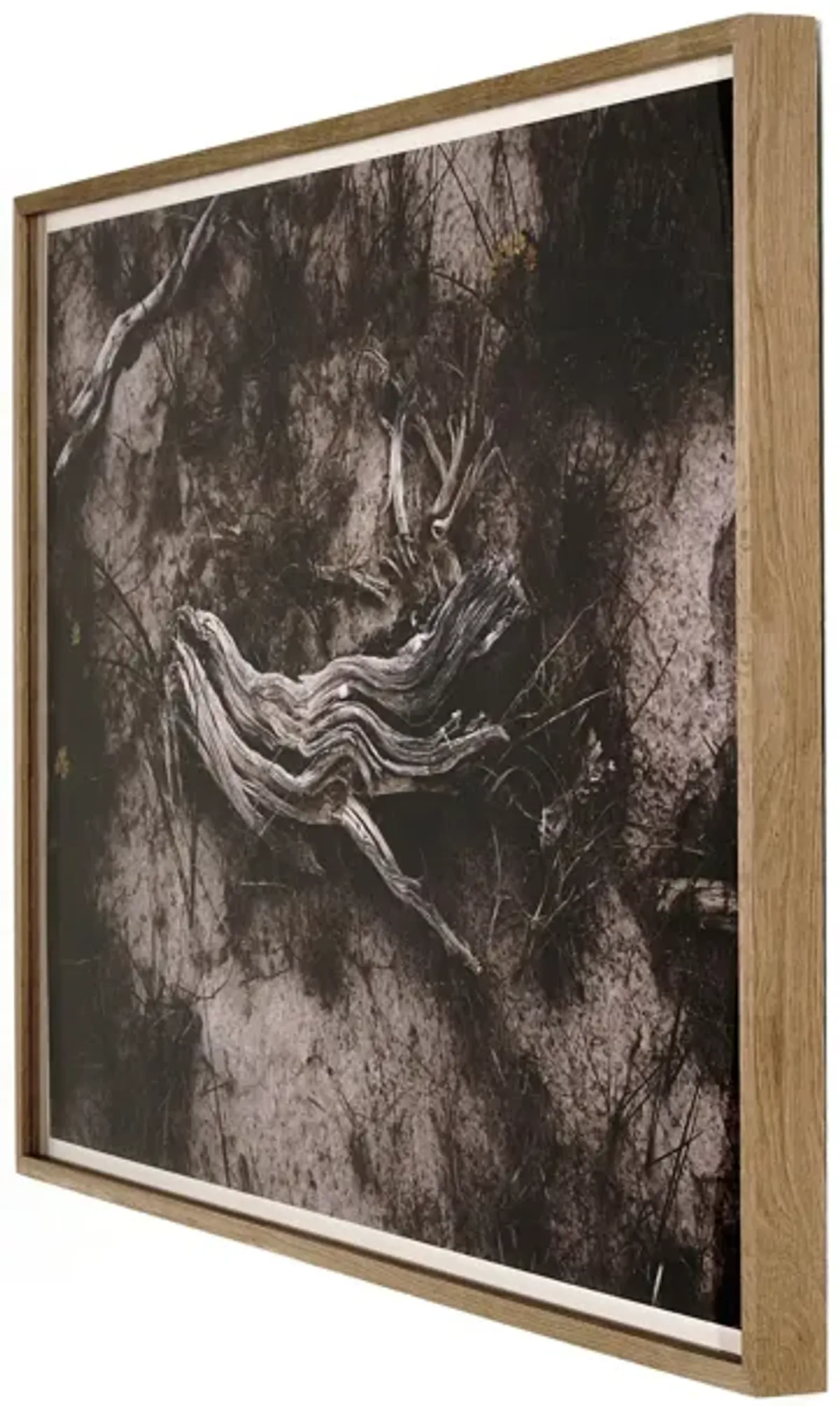 Bough By Shade Degges