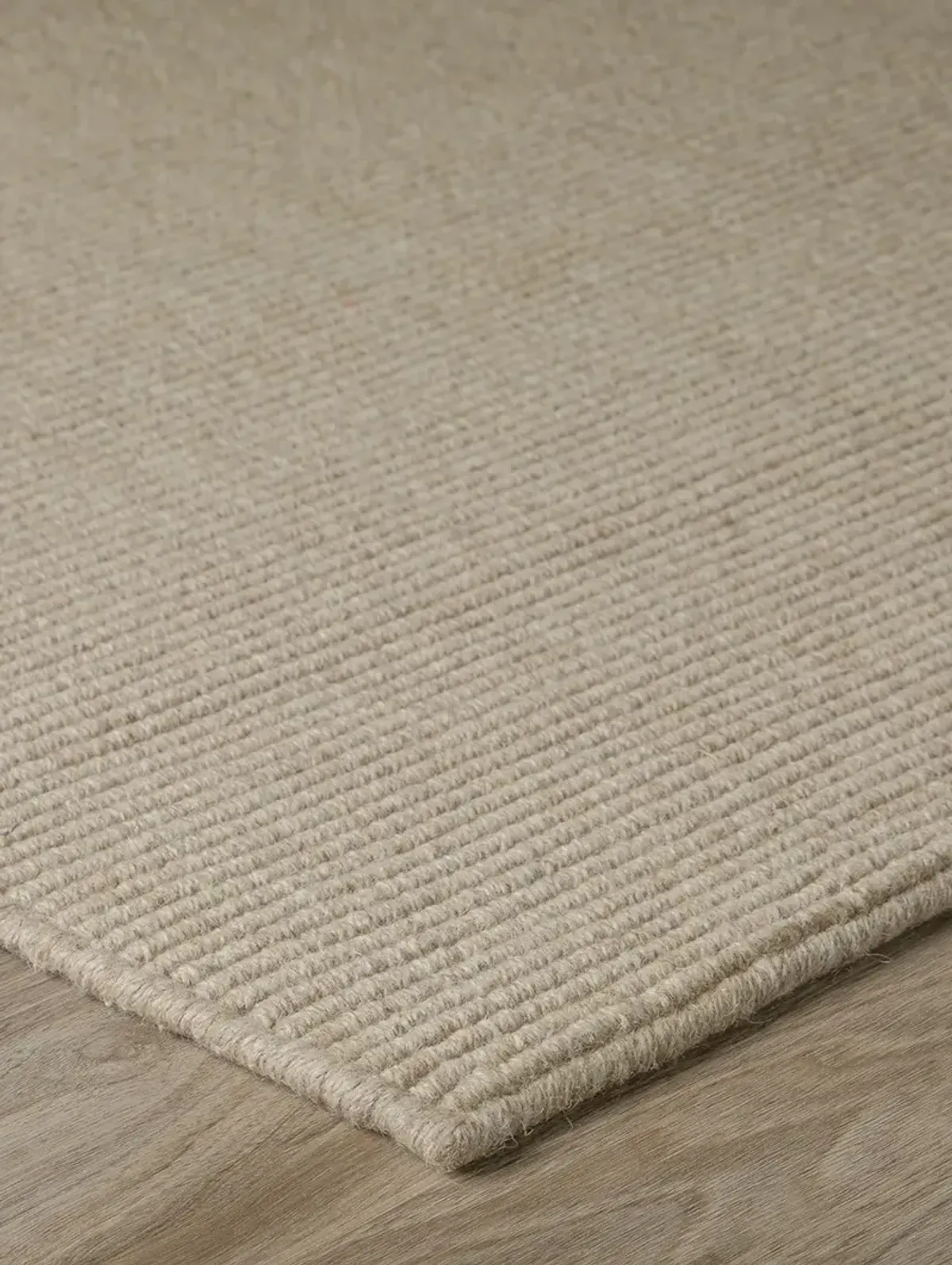 Monaco Sisal MC100 Taupe 2' x 3' Rug