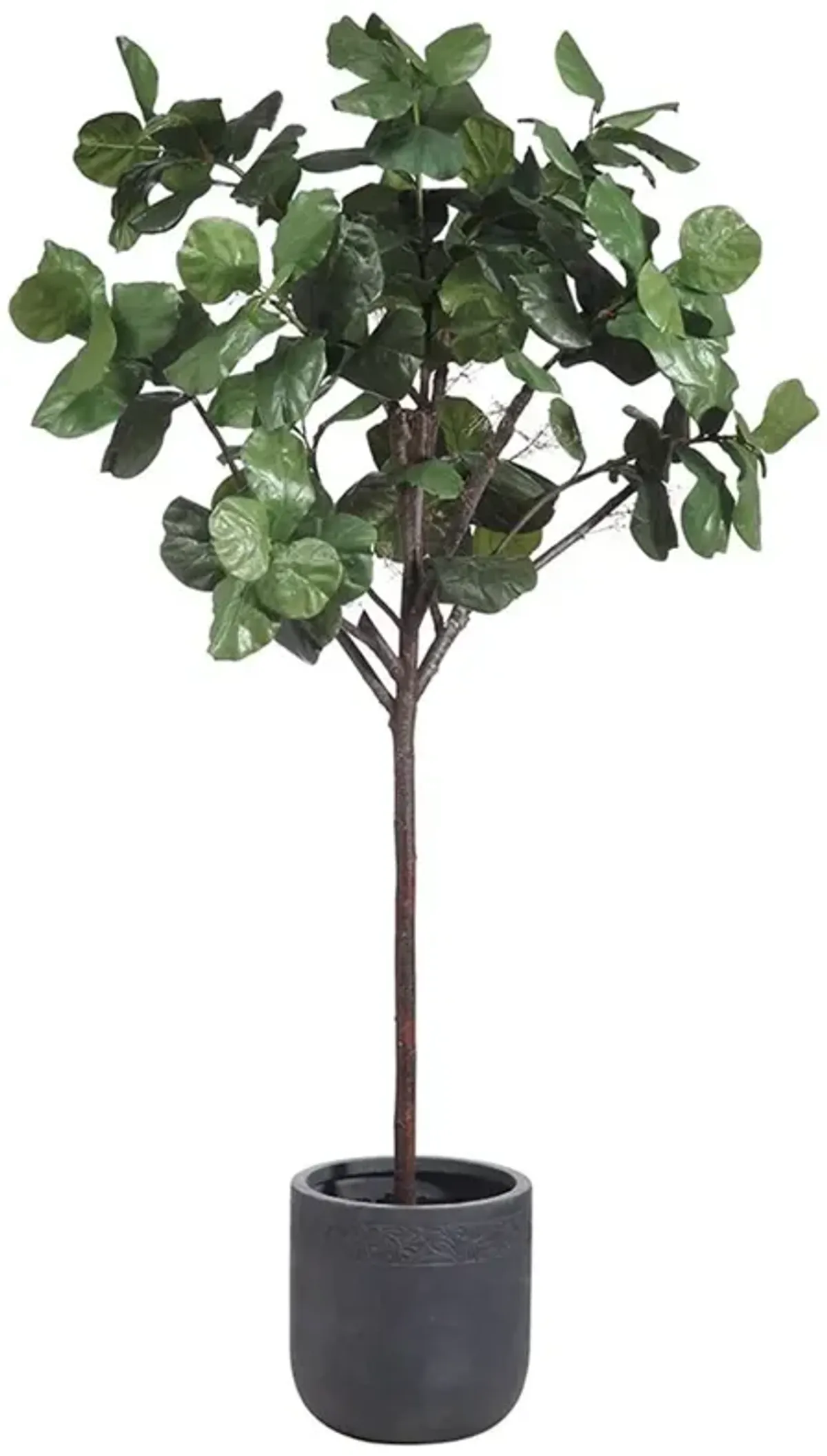 Fiddle Leaf Tree in Clay Planter