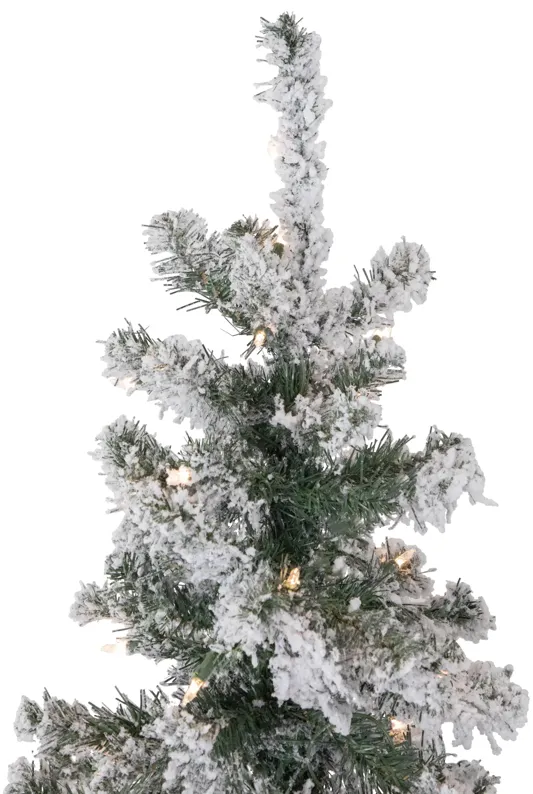 6' Pre-Lit Slim Flocked Pine Artificial Christmas Tree  Clear Lights