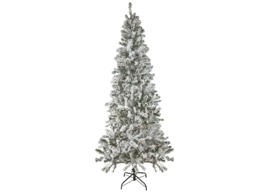 6' Pre-Lit Slim Flocked Pine Artificial Christmas Tree  Clear Lights