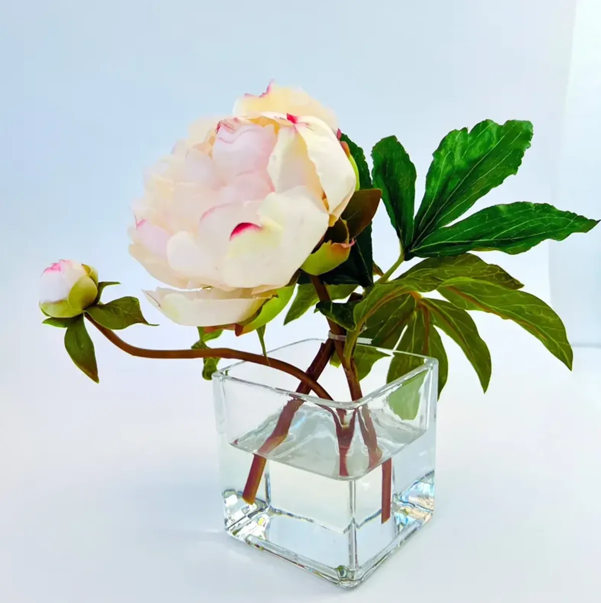 Peony Flower Arrangement in Glass Vase