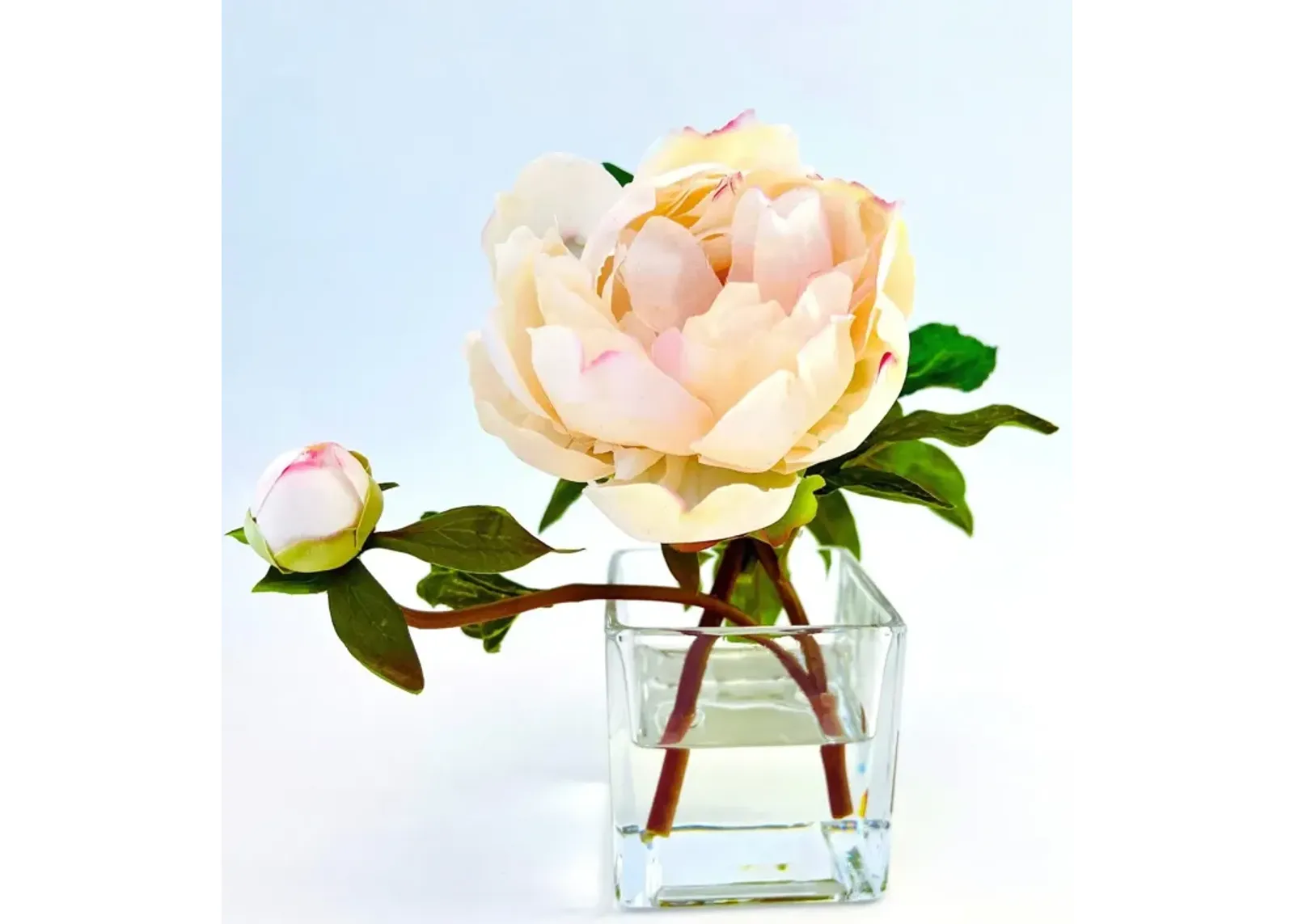 Peony Flower Arrangement in Glass Vase