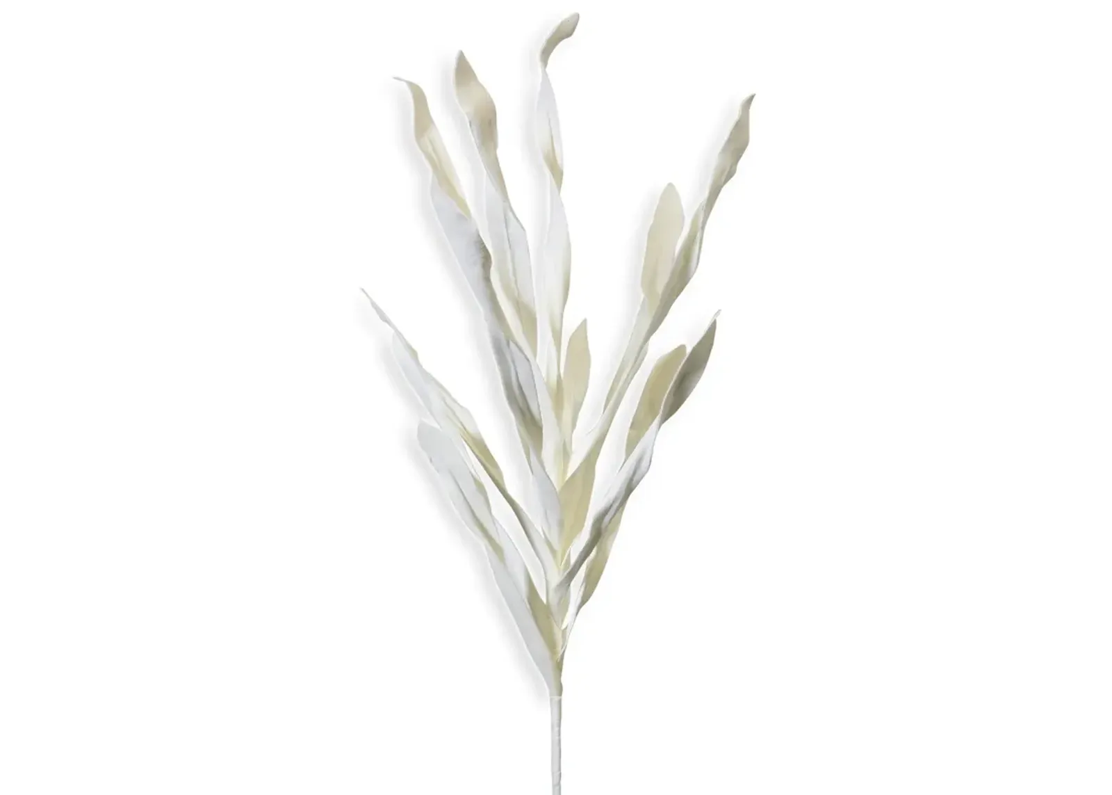 White Reed Stem