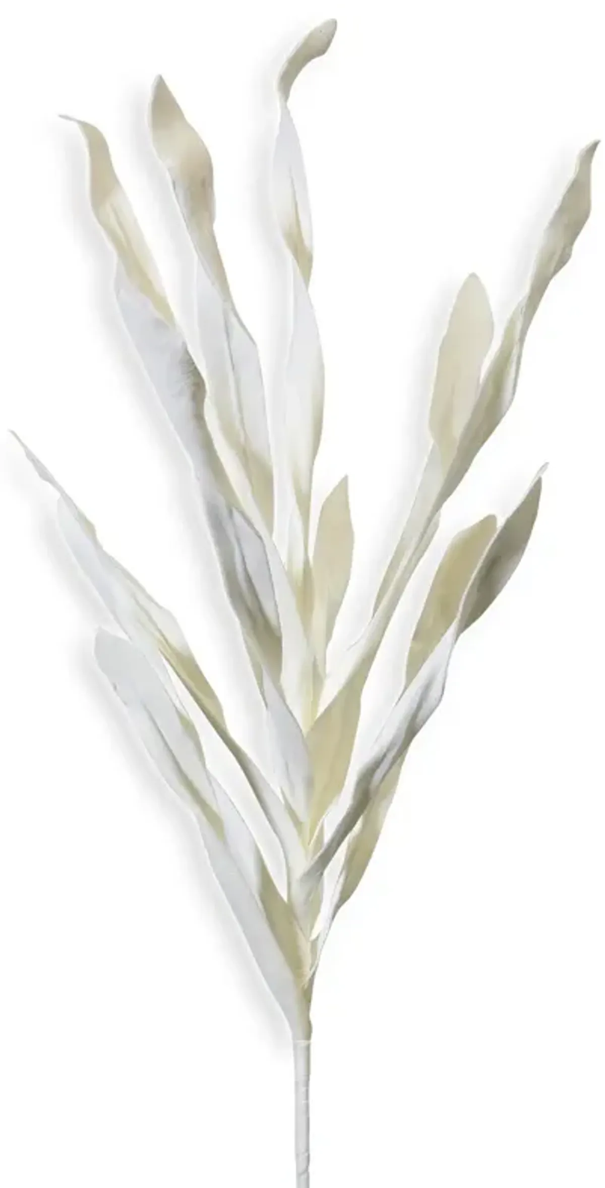 White Reed Stem