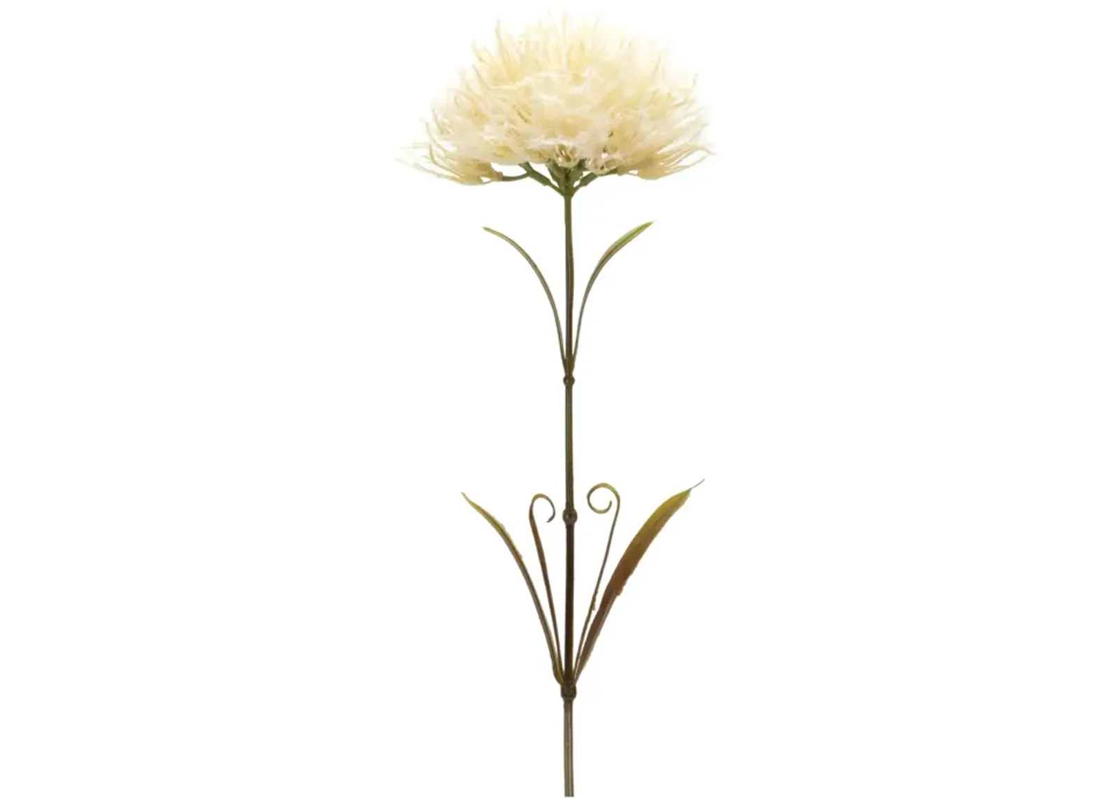 Whimsical Displays with a Set of 6 Puff Stems - Vibrant Colors and Fluffy Texture